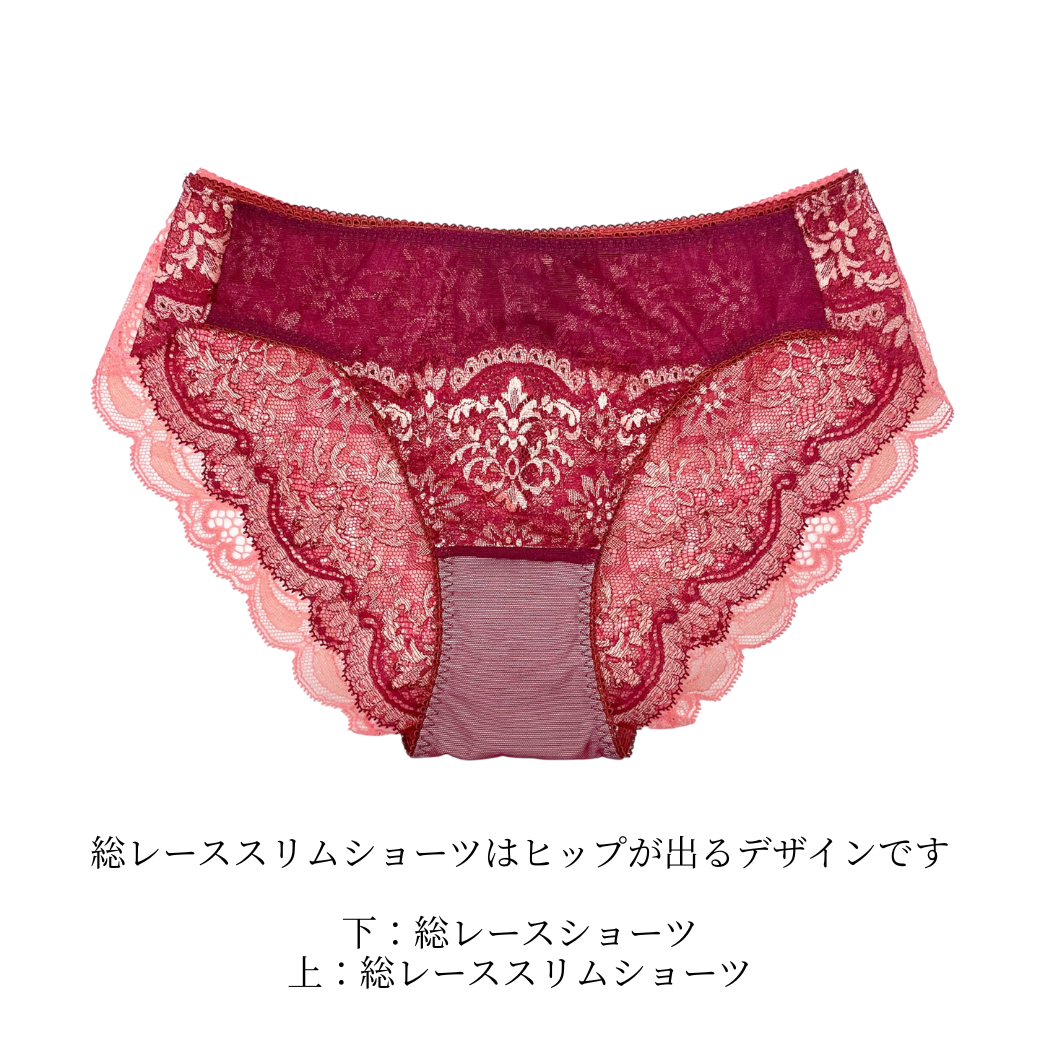 Elevate　フルレース・ノンワイヤーブラジャー＆ショーツセット