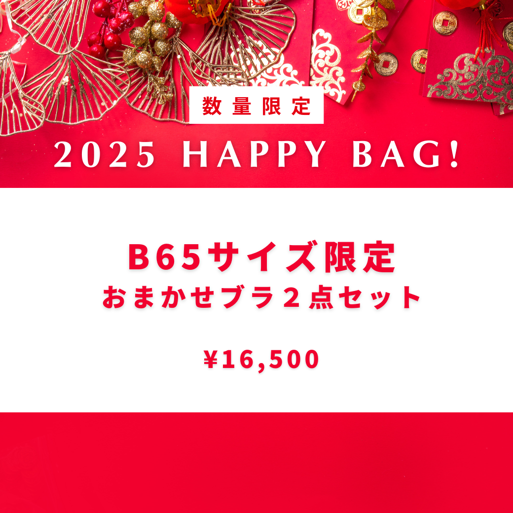 【2025 Happy Bag】B65サイズ限定おまかせ２点セット 約39,000円→25000円