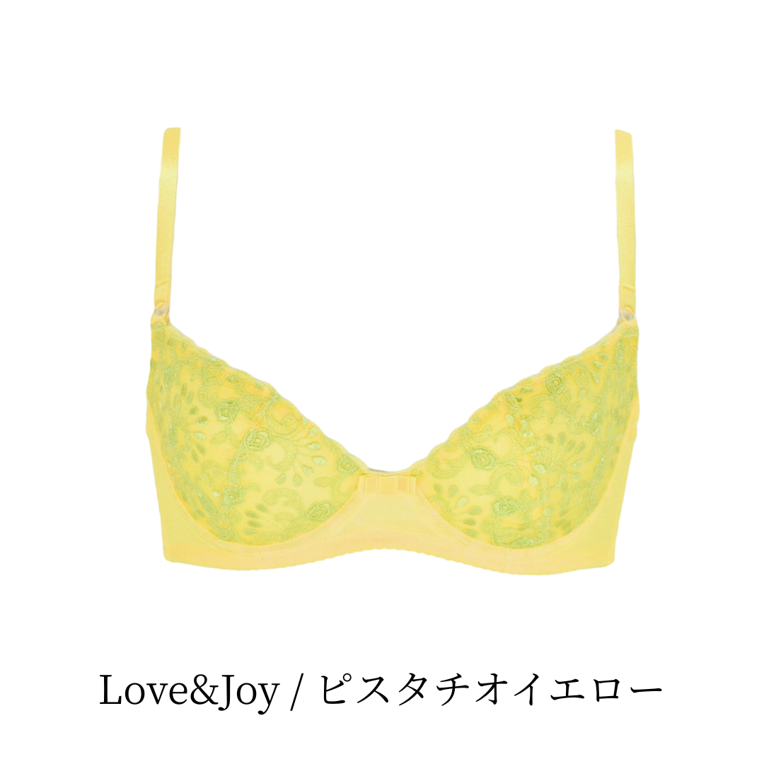 【10%OFF】ノンパテッドブラジャーシリーズ(D65のみ)