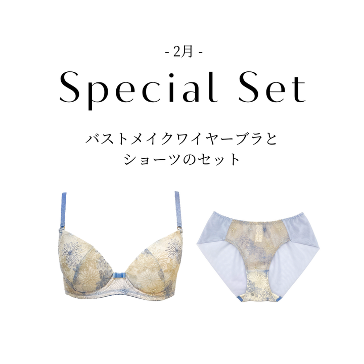 【1/24(土)~2/1(日)期間限定】Perform バストメイクブラジャーとボーイズショーツのセット