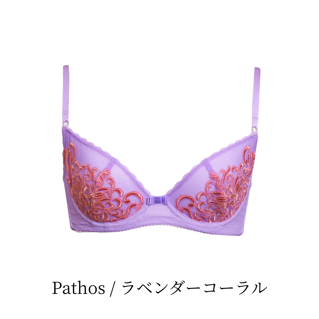 【10%OFF】ノンパテッドブラジャーシリーズ(D65のみ)