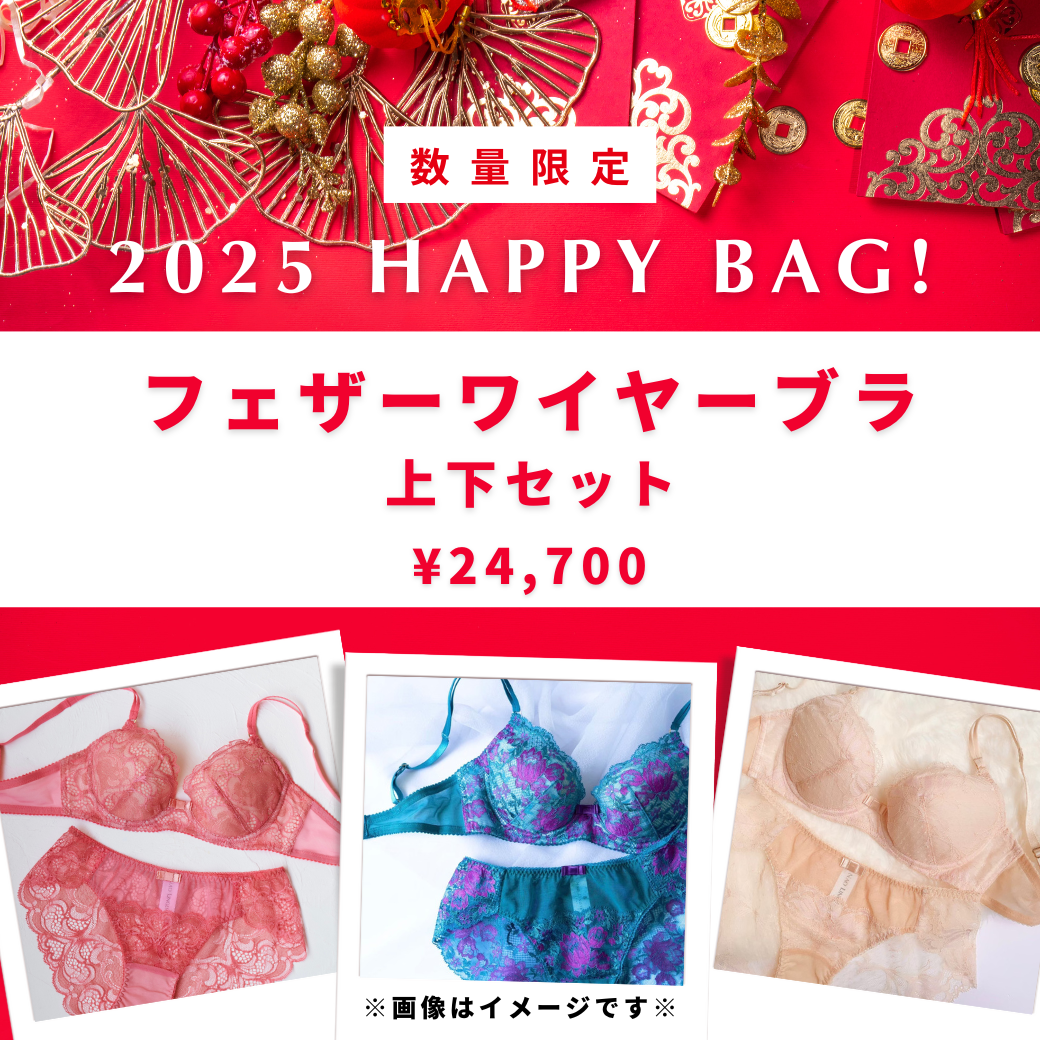 【2025 Happy Bag】フェザーワイヤーブラ上下セット 31,700円→24,700円