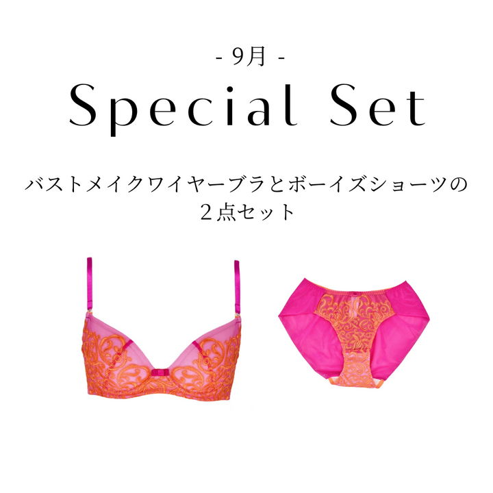 【8/24(日)~9/1(月)期間限定】The Butterflies バストメイクワイヤーブラジャーとボーイズショーツの２点セット