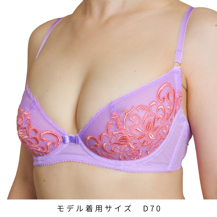 【10%OFF】ノンパテッドブラジャーシリーズ(D65のみ)