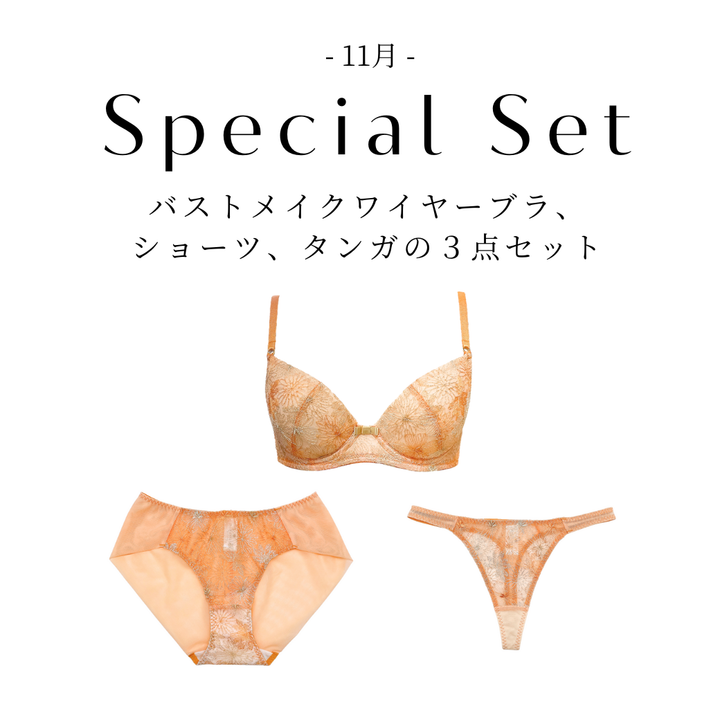 【10/24(金)~11/1(土)期間限定スペシャルセット】Purpose バストメイクワイヤーブラジャー、ショーツ、タンガの３点セット